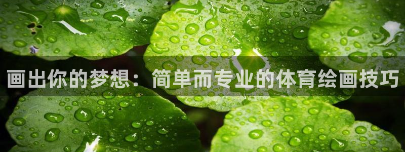 bbin视讯游戏平台：画出你的梦想：简单而专业的体育绘画技巧