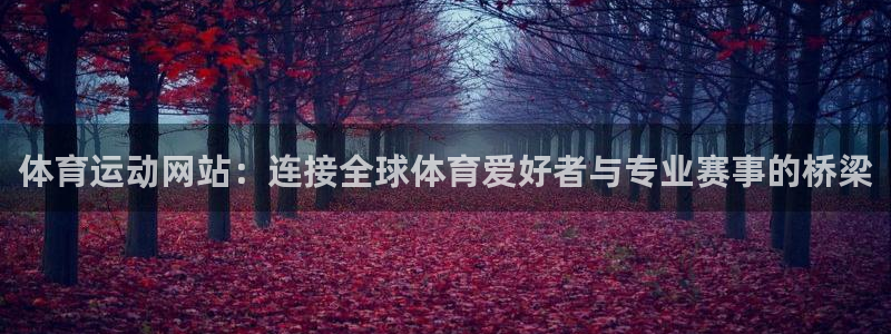bbin视讯游戏官网：体育运动网站：连接全球体育爱好者与专业赛事的桥梁