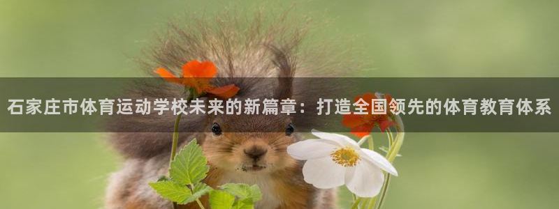 bbin视讯：石家庄市体育运动学校未来的新篇章：打造全国领先的体育教育体系