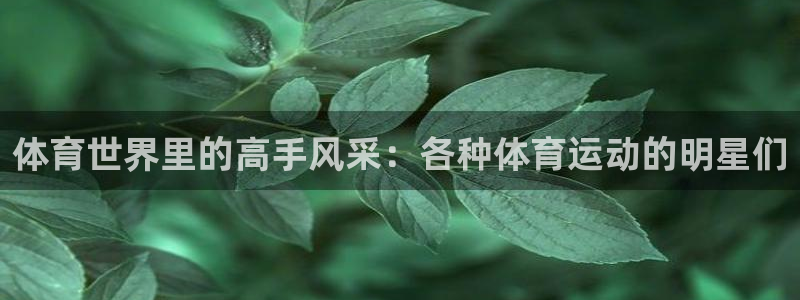 bbin视讯游戏官网