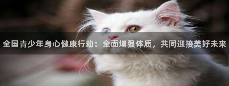 bbin视讯游戏平台