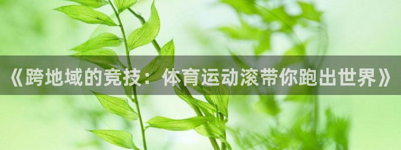 bbin视讯游戏平台