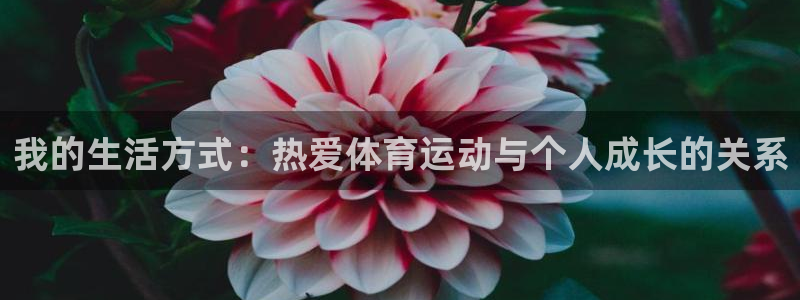 bbin视讯游戏平台