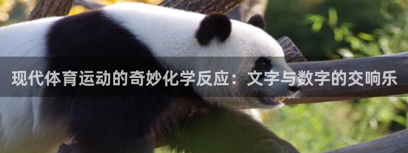 bbin视讯：现代体育运动的奇妙化学反应：文字与数字的交响乐