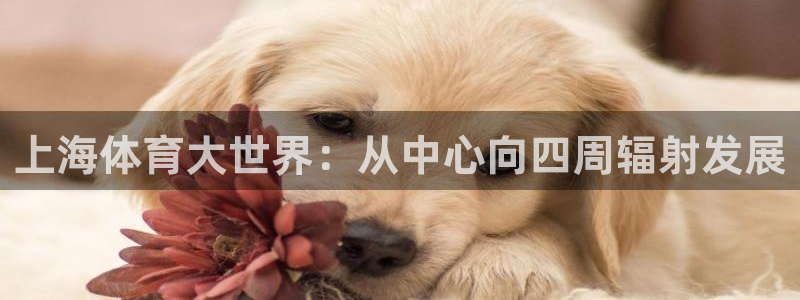 bbin视讯下：上海体育大世界：从中心向四周辐射发展