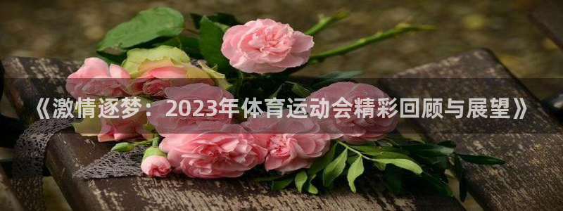 bbin视讯：《激情逐梦：2023年体育运动会精彩回顾与展望》